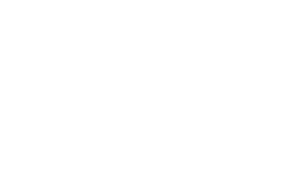 White logo for Lead Bank with words lead bank and a horse chess piece