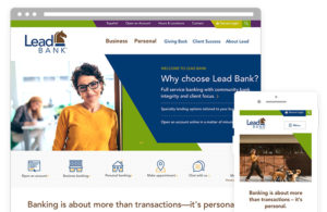 ZIV Lead Bank website design on sitefinity
