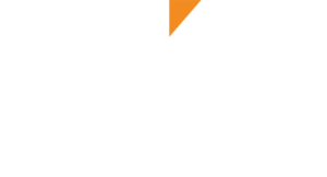 ZIV white logo for website