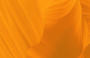 A beautiful orange background